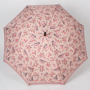 핑크새 자동장우산